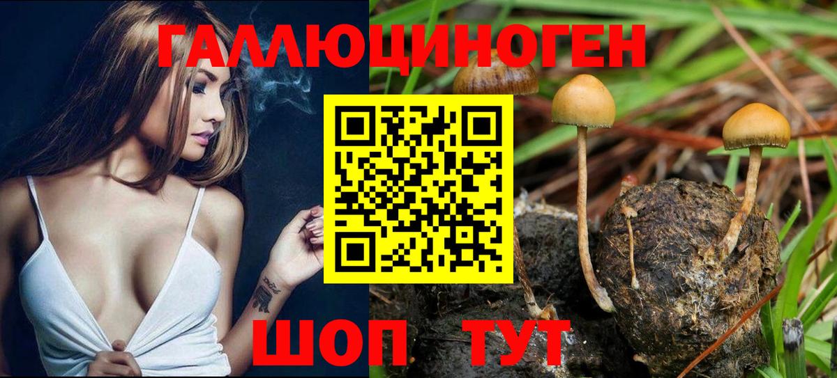 Псилоцибиновые грибы ЛСД Красноярск